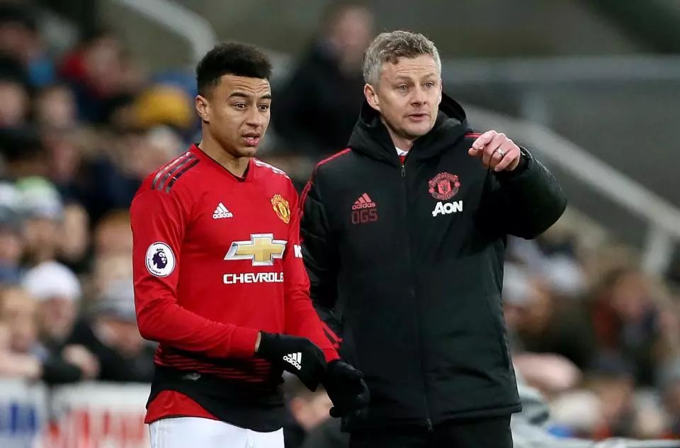 哈尔滨亚冬 哈尔滨亚冬